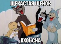 щекастая щенок кхоьсна