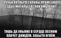 ручьи октября склоны кромсают седые могилы тоской омывают тишь да уныние в сердце лесном плачет дождём, забыто огнём