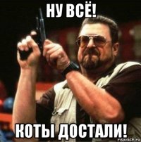 ну всё! коты достали!