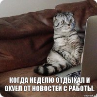 Когда неделю отдыхал и охуел от новостей с работы.