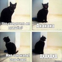 Что, свидетель не пришёл? Ахахаха Мне так жаль! Серьёзно! АХАХАХА