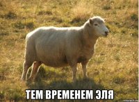  тем временем эля