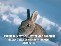 Лучше всех тот заяц, который зажарен и подан с уксусом к столу. Зайцы - деликатес!