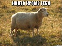 никто кроме тебя 