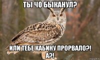 ты чо быканул? или тебе кабину прорвало?! а?!