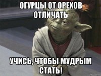 огурцы от орехов отличать учись, чтобы мудрым стать!