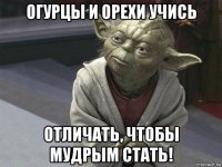 огурцы и орехи учись отличать, чтобы мудрым стать!