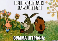 вы не догнали нарушителя сумма штрафа: