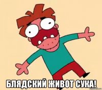  блядский живот сука!
