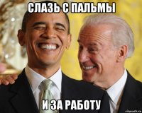 слазь с пальмы и за работу