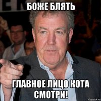 боже блять главное лицо кота смотри!
