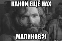 какой ещё нах маликов?!