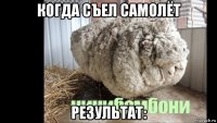 когда съел самолёт результат:
