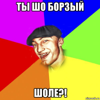 ты шо борзый шоле?!