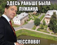 здесь раньше была лужайка чесслово!