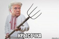  крысочка