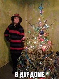  в дурдоме