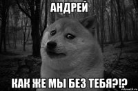 андрей как же мы без тебя?!?