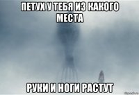петух у тебя из какого места руки и ноги растут