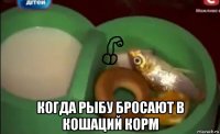  когда рыбу бросают в кошаций корм