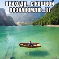 приходи... с кошкой познакомлю...))) 