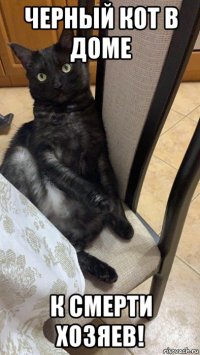черный кот в доме к смерти хозяев!