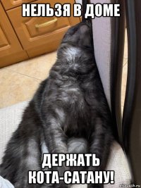 нельзя в доме держать кота-сатану!