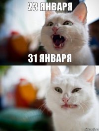 23 января 31 января