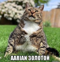  aarian золотой