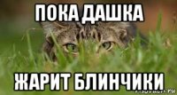 пока дашка жарит блинчики