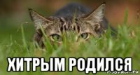  хитрым родился