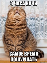 3 часа ночи самое время пошуршать