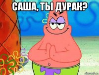 саша, ты дурак? 