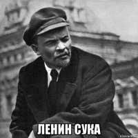  ленин сука