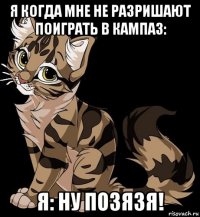 я когда мне не разришают поиграть в кампаз: я: ну позязя!