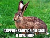  скрещиваются ли заяц и кролик?