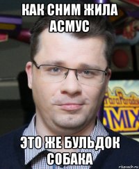 как сним жила асмус это же бульдок собака