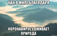 как в мире благодаря коронавирусу оживает природа