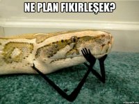 ne plan fikirleşek? 