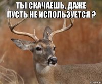 ты скачаешь, даже пусть не используется ? 