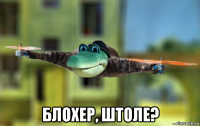  блохер, штоле?