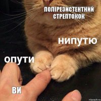 Полірезистентний стрептокок Ви