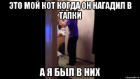 это мой кот когда он нагадил в тапки а я был в них