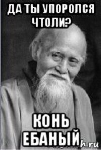 да ты упоролся чтоли? конь ебаный