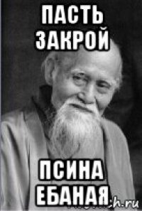 пасть закрой псина ебаная
