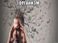 организм 