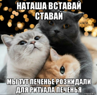 наташа вставай ставай мы тут печенье розкидали для ритуала печенья