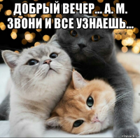 добрый вечер... а. м. звони и все узнаешь... 
