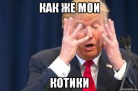 как же мои котики