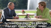  - ты точно проведёшь? - всё в порядке. труба идёт, собаки гавкают. - точно?